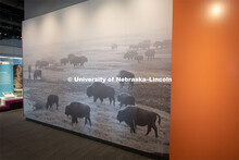 Cherish Nebraska opens to the public on Saturday, February 16 in the University of Nebraska State Mu