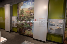 Cherish Nebraska opens to the public on Saturday, February 16 in the University of Nebraska State Mu