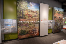 Cherish Nebraska opens to the public on Saturday, February 16 in the University of Nebraska State Mu