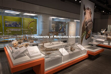Cherish Nebraska opens to the public on Saturday, February 16 in the University of Nebraska State Mu