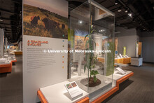 Cherish Nebraska opens to the public on Saturday, February 16 in the University of Nebraska State Mu