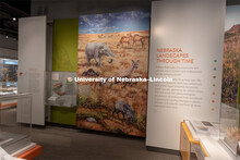 Cherish Nebraska opens to the public on Saturday, February 16 in the University of Nebraska State Mu