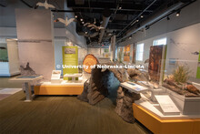 Cherish Nebraska opens to the public on Saturday, February 16 in the University of Nebraska State Mu