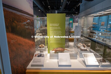 Cherish Nebraska opens to the public on Saturday, February 16 in the University of Nebraska State Mu
