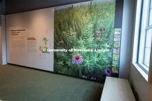 Cherish Nebraska opens to the public on Saturday, February 16 in the University of Nebraska State Mu
