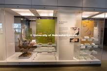 Cherish Nebraska opens to the public on Saturday, February 16 in the University of Nebraska State Mu
