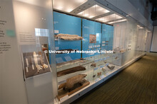 Cherish Nebraska opens to the public on Saturday, February 16 in the University of Nebraska State Mu