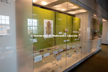Cherish Nebraska opens to the public on Saturday, February 16 in the University of Nebraska State Mu