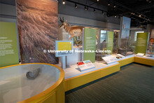 Cherish Nebraska opens to the public on Saturday, February 16 in the University of Nebraska State Mu