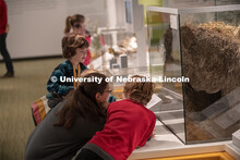 "Cherish Nebraska," a new exhibition on the fourth floor of the University of Nebraska State Museum 