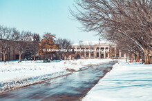 The Mall on East Campus is blanketed in snow. February 20, 2019. 