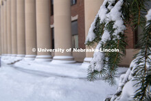It’s a snowy day on City Campus. February 20, 2019. 