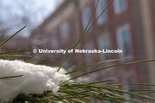 It’s a snowy day on City Campus. February 20, 2019. 