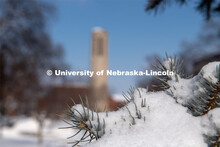 It’s a snowy day on City Campus. February 20, 2019. 