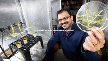 Joe Louis, assistant professor of Entomology, is testing the resistance of aphids to various varieti