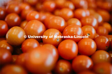 The Sheldon Museum of Art presents - First Friday in Four Courses: Soup and Salad. The Sheldon is se