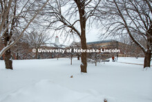 A student walks his bike across campus by the Love Library after a March snowfall.  March 7, 2019. 