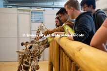 Theme Park Design Group students interact with the Lincoln Children's Zoo giraffes, Allie, Phoebe an