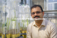 Joe Louis, Harold and Esther Edgerton assistant professor of entomology at the University of Nebrask