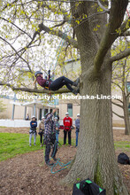 Students in Eric North's NRES 321 - Arboriculture: Maintenance and Selection of Landscape Trees lear