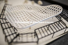 Architecture students partnership with SGH Inc. and Dri-Design, present as part of a student scholar