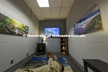 The "Find Your Calm, Restore Your Zenergy" relaxation room opened in January and is located in the E