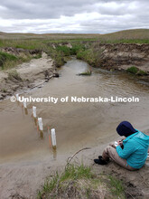 Researchers with the University of Nebraska-Lincoln take groundwater samples from the Loup River in 