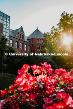 Exterior shot of Architecture Hall from the south side with flowers in the foreground. June 7, 2019.
