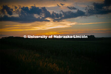 Corn Field at the Eastern Nebraska Research and Extension Center. July 2, 2019. 