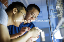 Yanbin Yin, Associate Professor in Food Science and Technology, looks over algae samples with post-d
