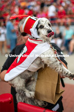 Joey the Cornhusker Marching Band dog. Big Red Welcome week featured the Cornhusker Marching Band Ex