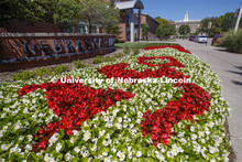 Flowers outside the Visitors Center on City Campus spell out the N150 logo. August 28, 2019. 