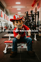 Herbie lifting weights and working out. Herbie Husker photo shoot, pictured throughout Memorial Stad