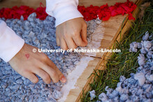 Students from Alpha Tau Omega, Gamma Phi Beta, Delta Delta Delta, Acacia, Sigma Alpha Mu work on the