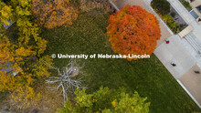 Fall Trees around Love Library. City Campus. October 28, 2019. 