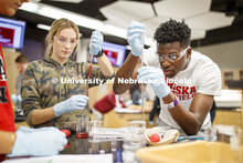 Lily Bruner and Terrol Wilson draw up liquids in a Chem 109 lab to determine absorption spectra and 