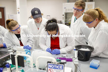Limei Zhang, Assistant Professor, Department of Biochemistry/Redox Biology Center works with growing