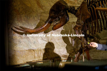 Ross Secord shadow is cast on the wall under the watchful eye of a skeleton in the museum's Elephant