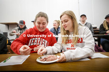Professor Gary Sullivan leads the ASCI 100 Meats 2 course in a Processed Meats lab. The class made h