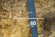 Recording soil samples at Parker Pit (just south of Pioneers Park) to prepare for the start of remot