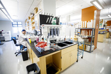 Qinnan Bob Yang extracts DNA from a fecal sample as works in Andrew Benson's Nebraska Food for Healt