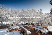 Benches and trees on city campus are covered in a blanket in snow. An April snowstorm leaves campus 