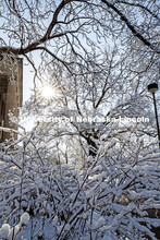 An April snowstorm leaves campus unseasonably beautiful. April 17, 2020. 