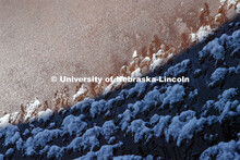 An April snowstorm leaves campus unseasonably beautiful. April 17, 2020. 