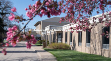 Spring trees and flowers bloom on East Campus near Ruth Staples Child Development Lab. April 21, 202