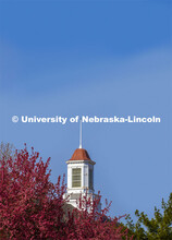 Love Library’s cupola is framed by blooming spring trees. City Campus. April 22, 2020. 