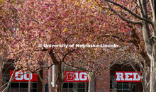 GO BIG RED signs in the windows of the Nebraska Union on City Campus, and the trees are blooming. Ci