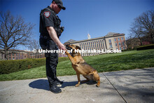 UNL Police K-9 Dog, Layla and her partner, Officer Russ Johnson Jr., shake hands. Love Library in th