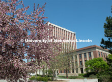 Spring trees and flowers bloom on City Campus near Old Father Hall and Burnett Hall. April 21, 2020.