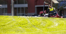Tyler Kingsley, a worker with FM&P Landscape Services, mows outside the Visitors Center on 12th and 